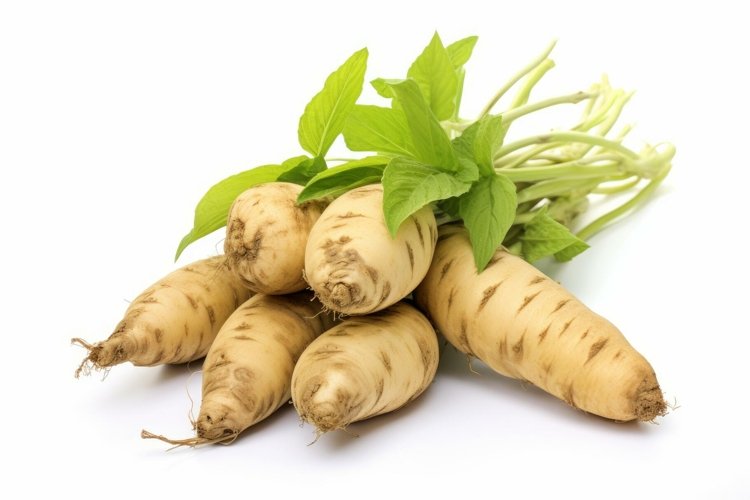Vegetable Clipart