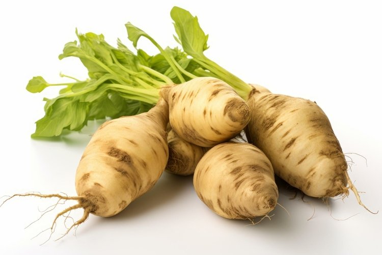 Vegetable Clipart Image 2