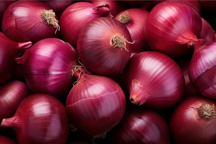 Food Clipart Image 16