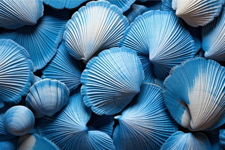 A Full Frame Of Blue Seashells Arranged In A Beautiful Patte A Full Frame Of Blue Seashells Arranged In A Beautiful Patte