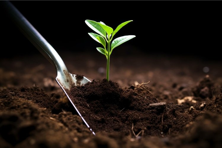 Vegetable Garden Clipart Image 3