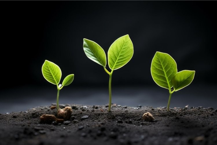 Small Clipart Image 11