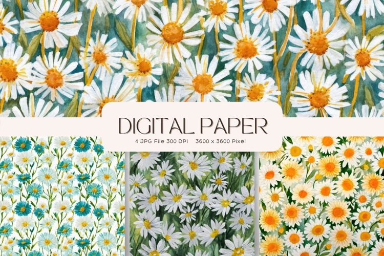 Flower daisy clipart