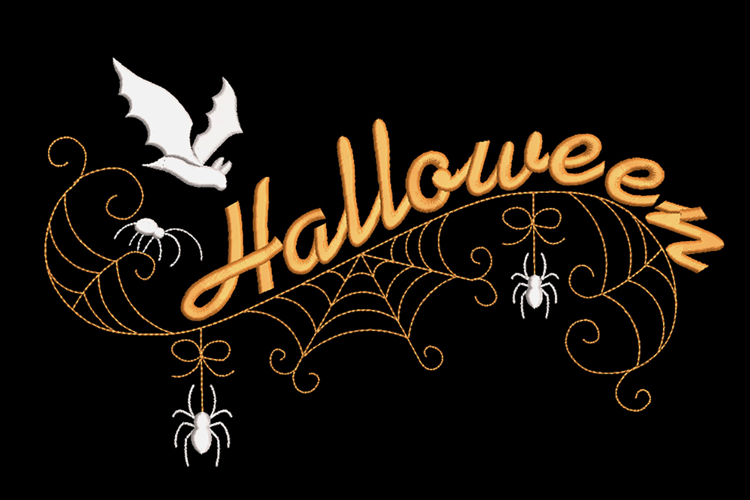 Spider Web Embroidery Image 18