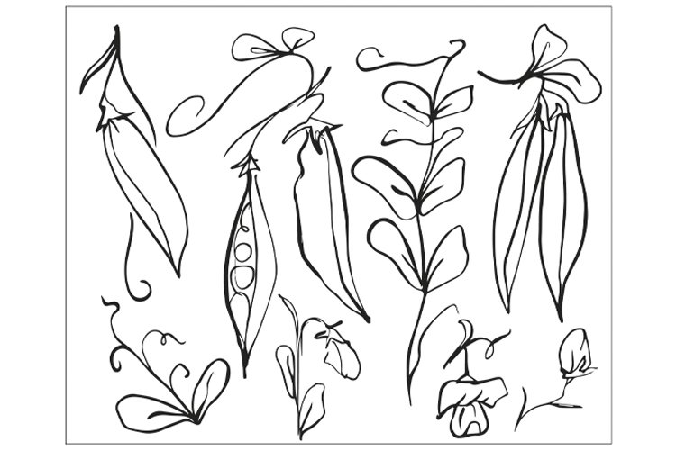 Autumn Clipart Image 15