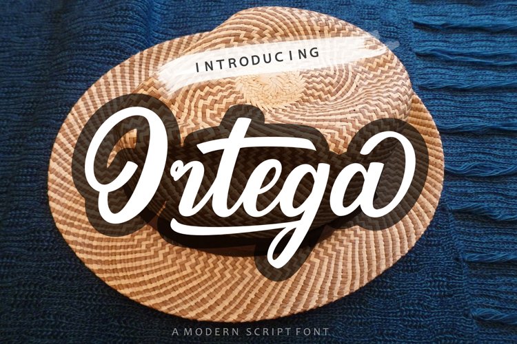 Ortega example image 1