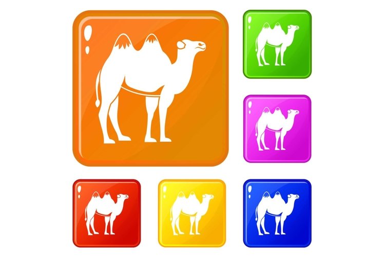 Animal Icon Image 23