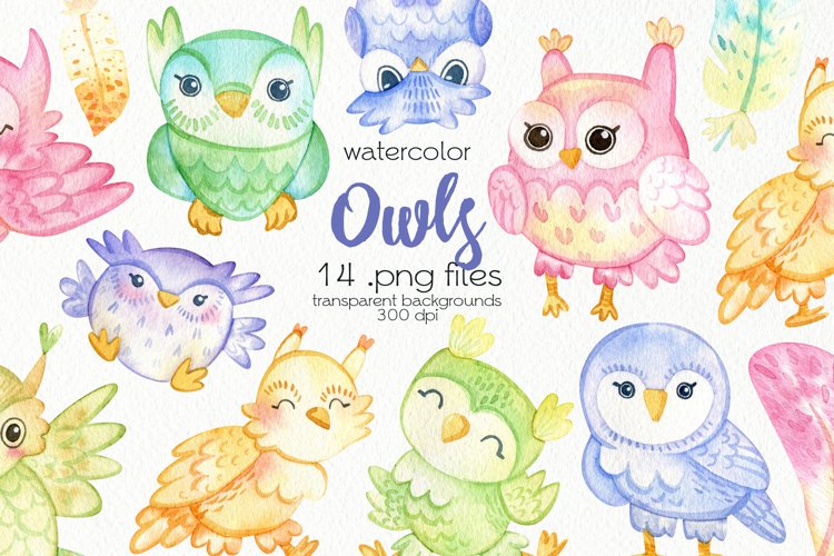 Watercolor Owls Clipart - PNG Files