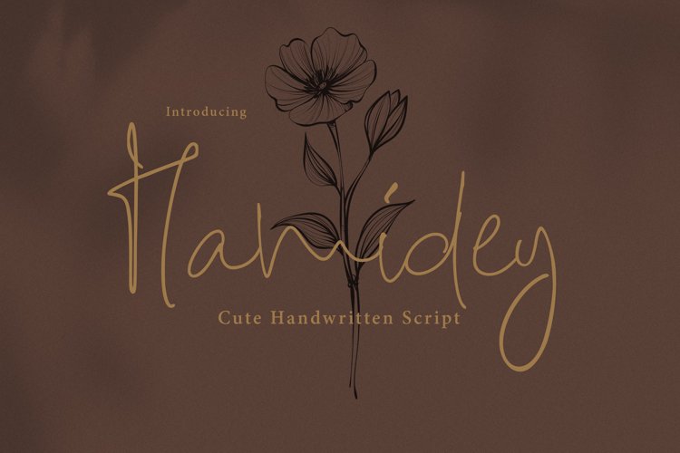 Hamidey example image 1