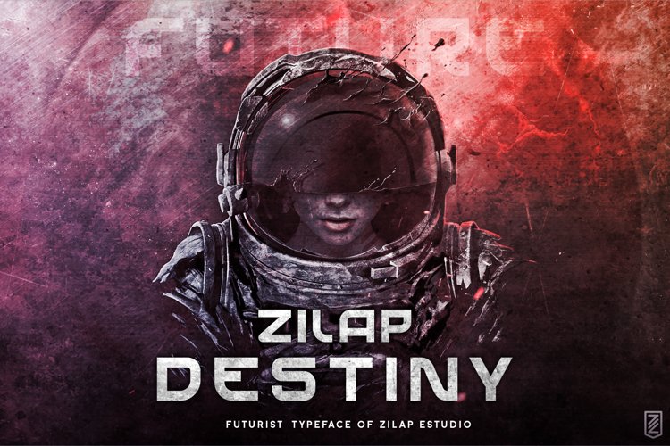 Zilap Destiny example image 1