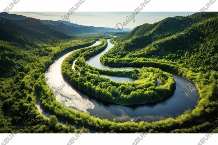 vibrant curve dynamic background