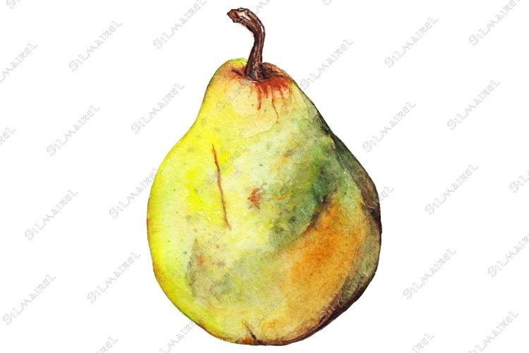 Watercolor yellow green pear ripe fruit isolated example image 1