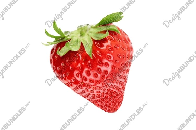 Food Clipart Image 16