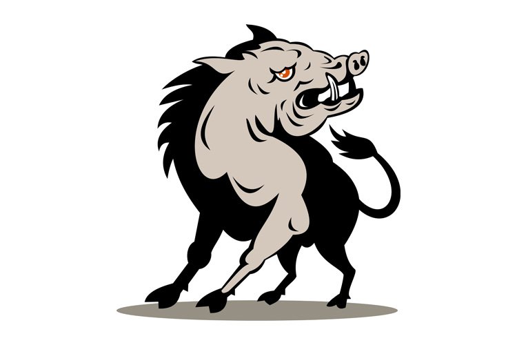 Pig Clipart Image 14