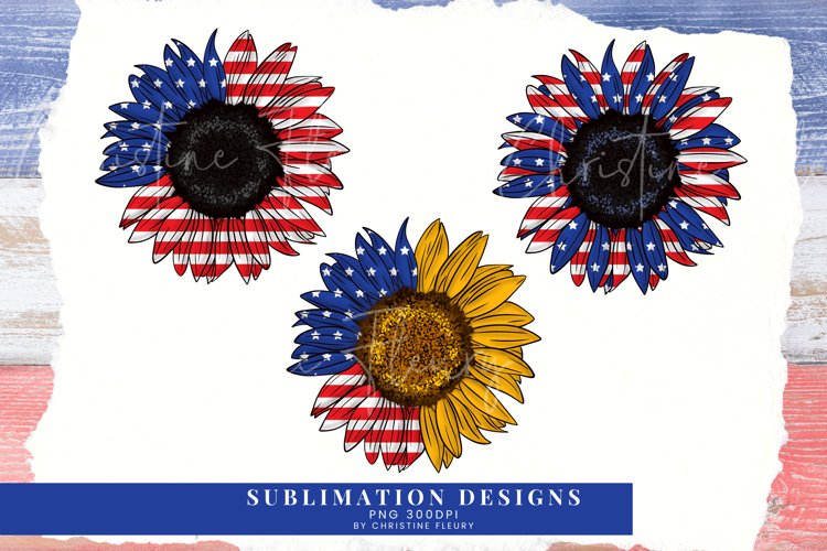 American Flag Clipart Image 23