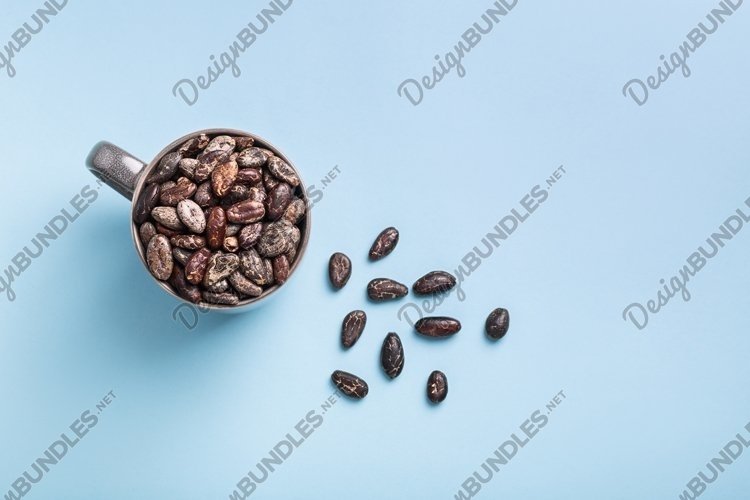 Seed Clipart Image 13
