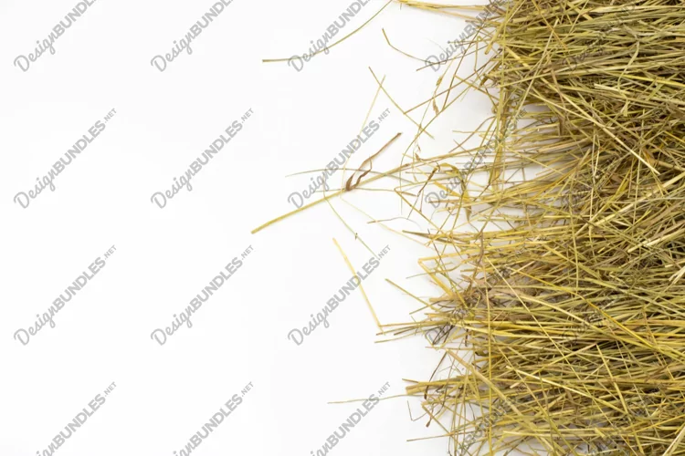 Straw Down Right Side Flat Lay