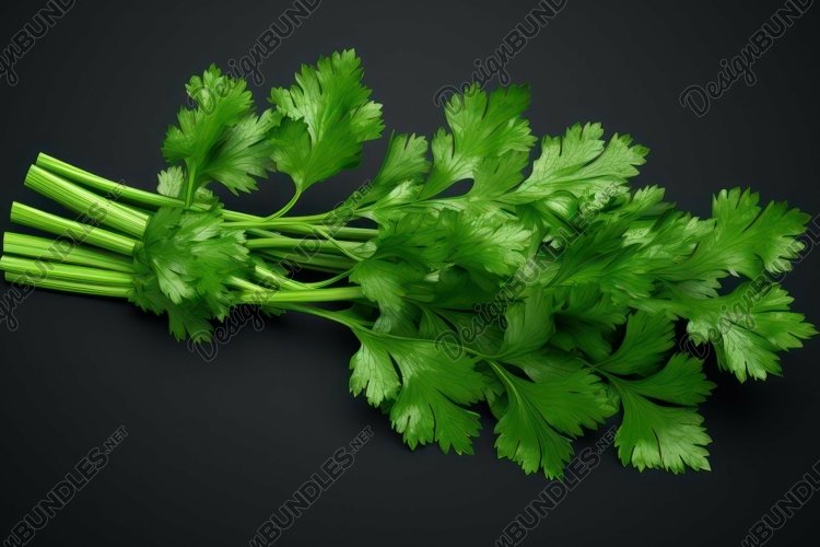 Fresh Parsley Background Wallpaper example image 1