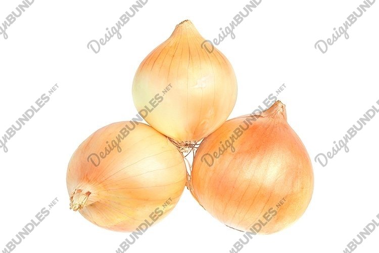 Stock Photo - Onion on a white background. example image 1