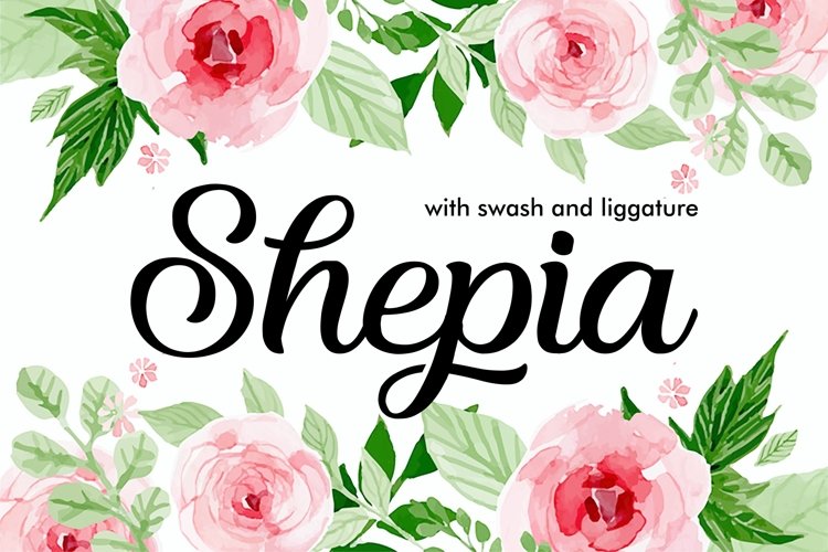 Shepia Beauty Script example image 1