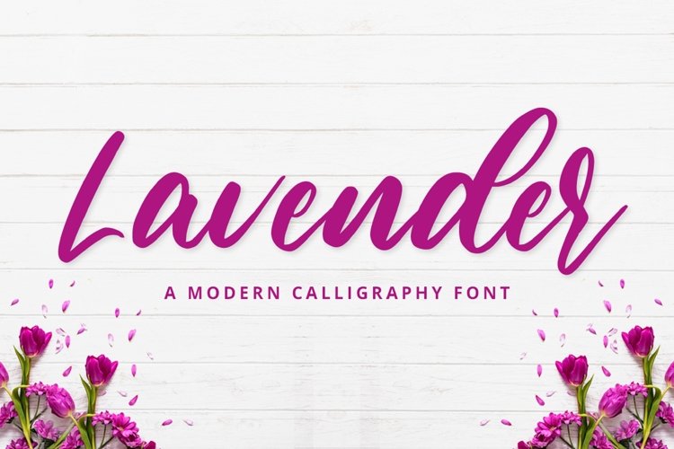Calligraphy Font example image 1
