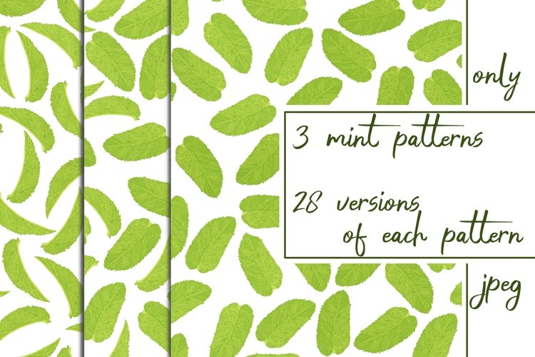 84 MINT PATTERNS IN JPEG example image 1