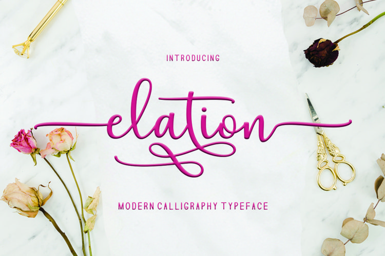 Elation Script example image 1