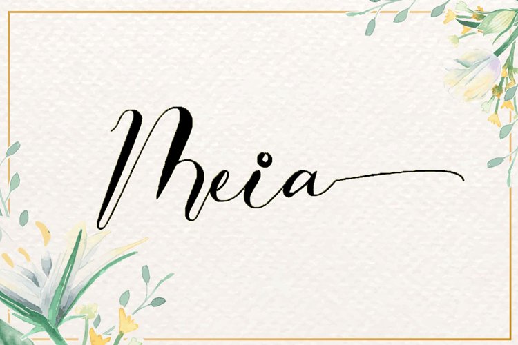 Meia example image 1