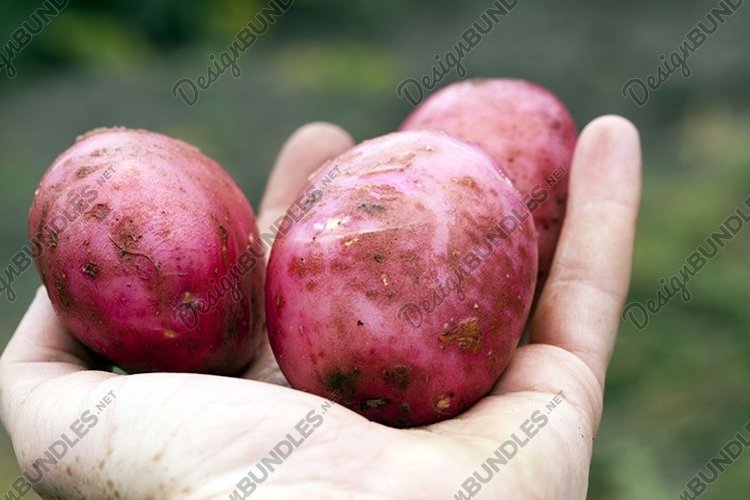 Land Clipart Image 10
