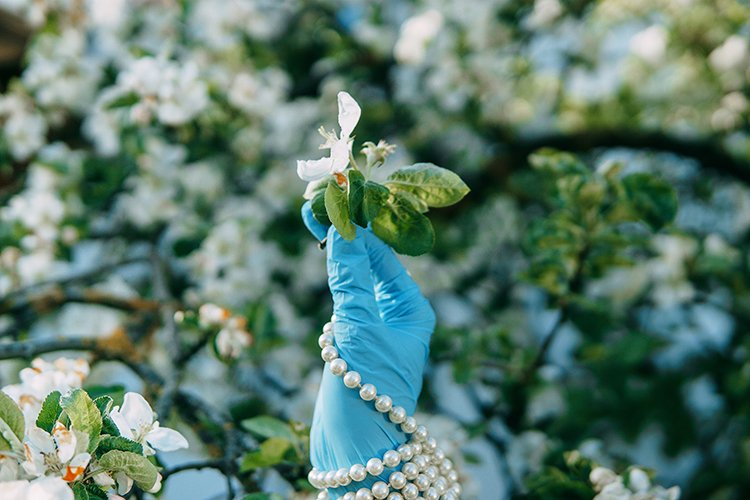 Garden Background Image 8