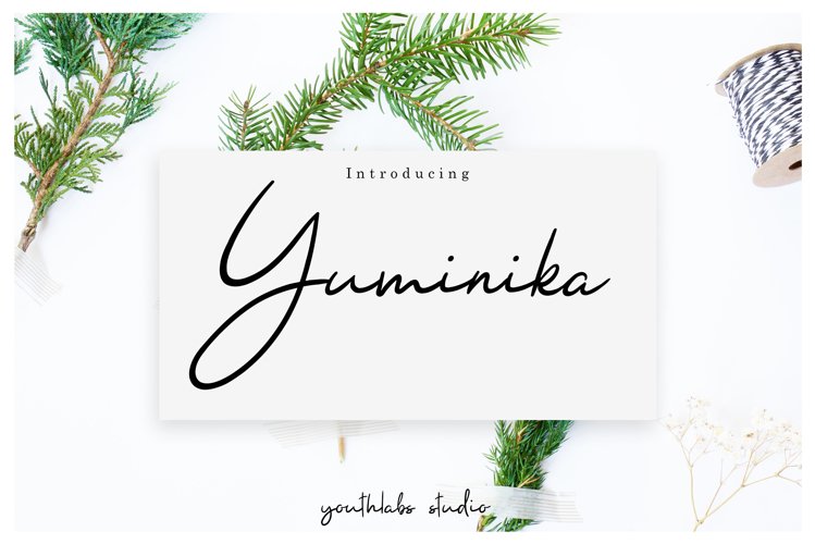 Yuminika - Handwritten Font example image 1