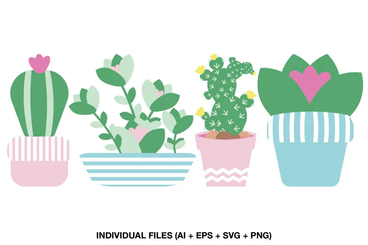 Cactus Clipart with Potted Succulents and Flowering Plants