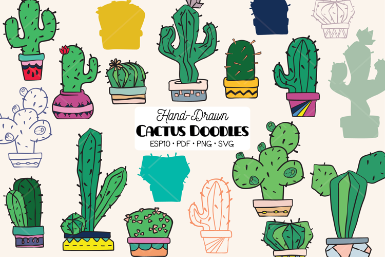 Color Cactus in Flower Pot | Succulent, Tropical House Plant