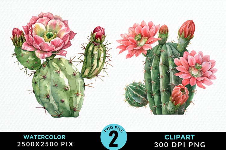 Watercolor Cactus Flower Graphic Clipart