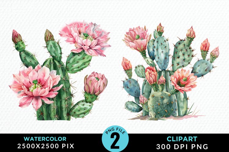 Cactus Flower Clipart Image 15
