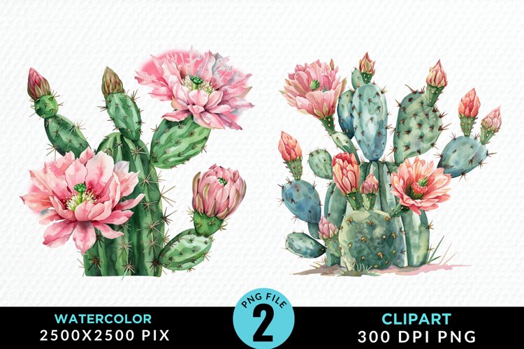 Watercolor Cactus Flower Graphic Clipart example image 1