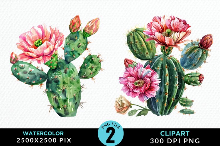 Watercolor Cactus Flower Graphic Clipart example image 1