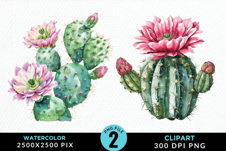 Watercolor Cactus Flower Graphic Clipart