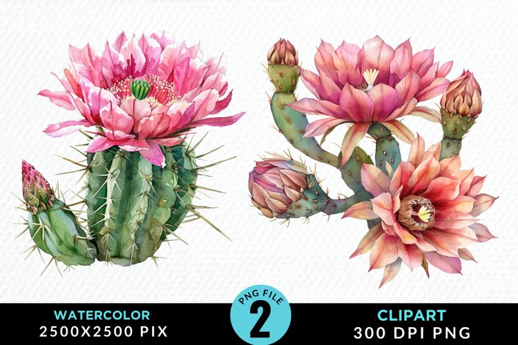 Watercolor Cactus Flower Graphic Clipart