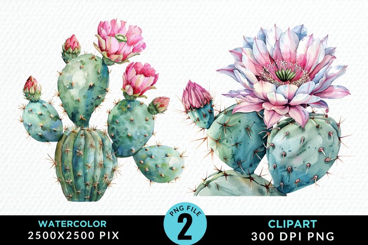 Watercolor Cactus Flower Graphic Clipart example image 1