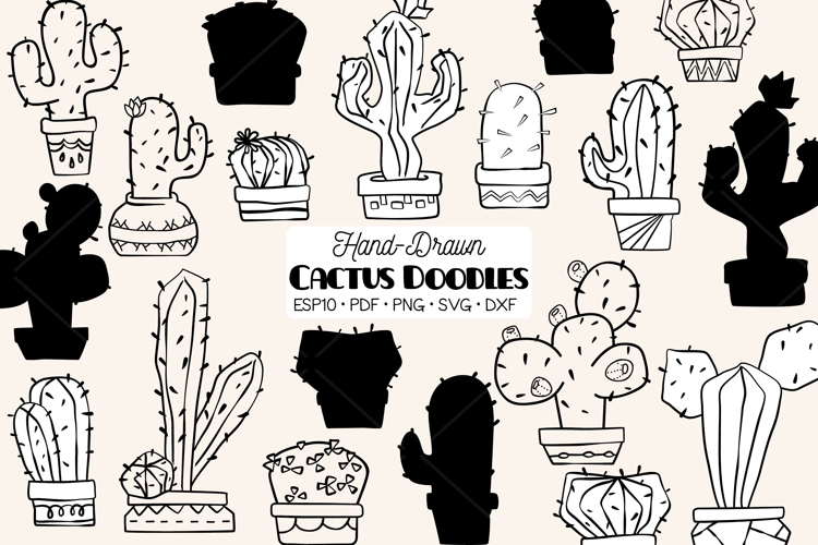 Cactus in Flower Pots | Succulent | Tropical House Plants example image 1