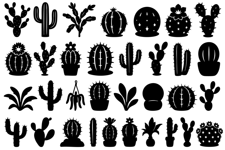 Succulent SVGs Image 7