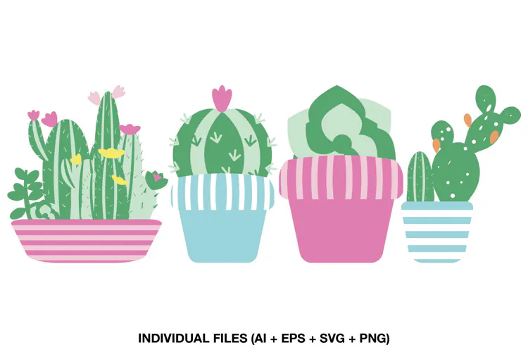 Cactus Clipart with Potted Succulents and Colorful Plants