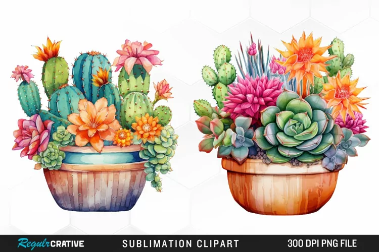 Cactus Illustration PNG Clipart