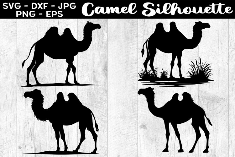 Camel Silhouettes Image 11