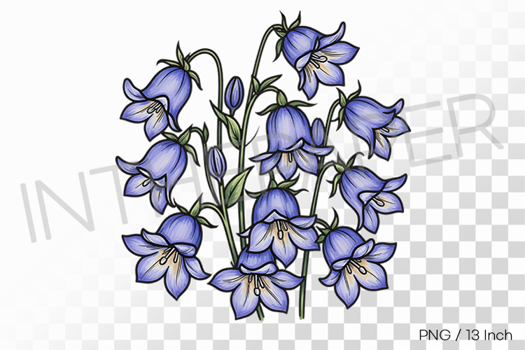 Flower Drawing Png Image 13