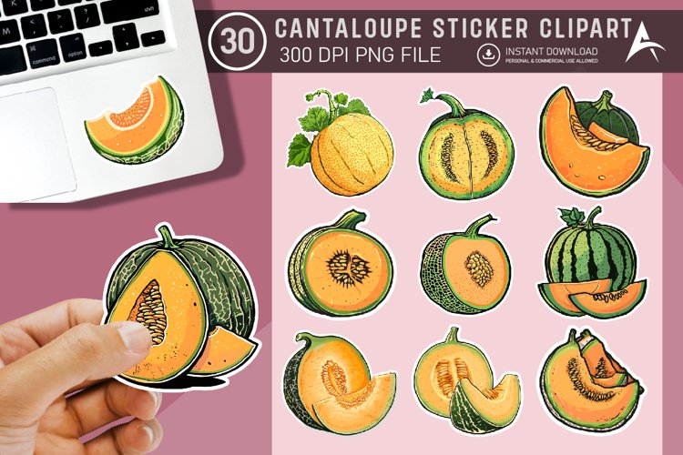 Cantaloupe Sticker Clipart Bundle example image 1