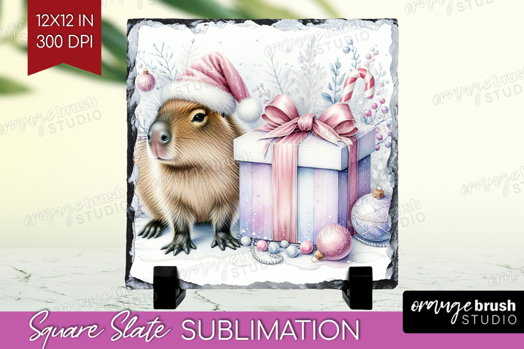 Capybara Pastel Christmas Slate PNG Coquette Xmas Square