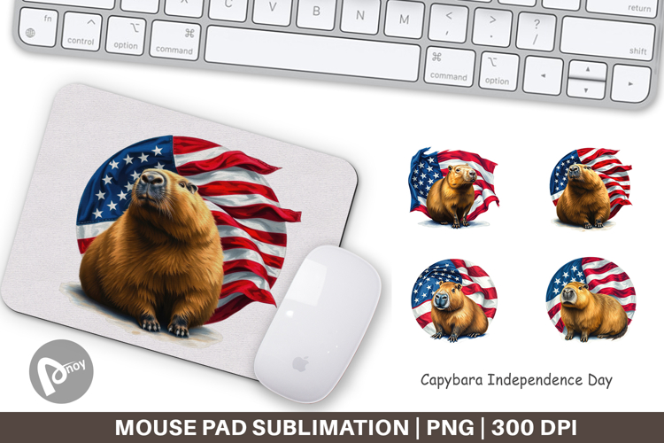 Mouse Png Image 23
