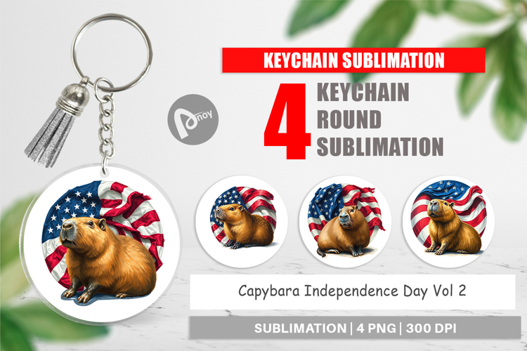 4th Of July Sublimation Design Image 23